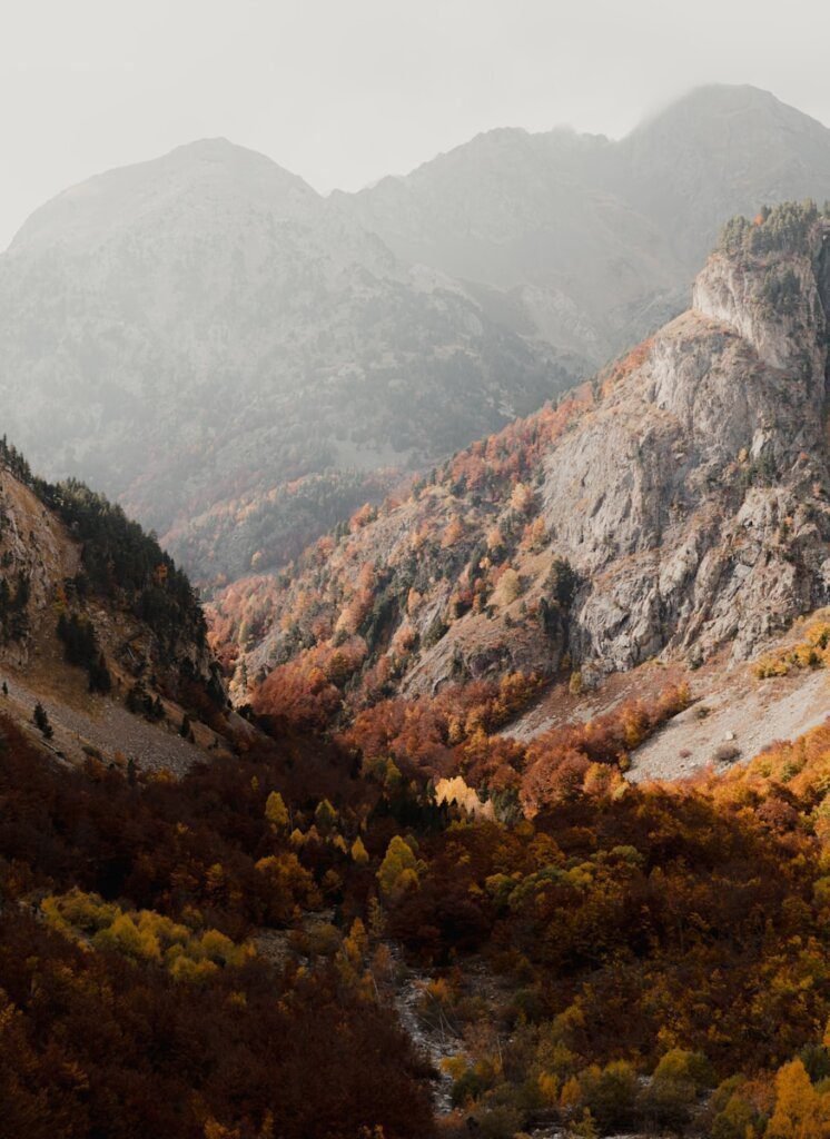 a view of a mountain range with trees in the foreground