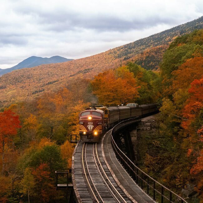 orange train between fall trees